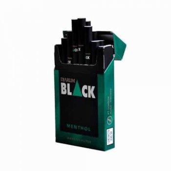Djarum Black Menthol cigarettes 10 cartons