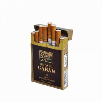 Gudang Garam Surya 16 cigarettes 10 cartons