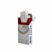 Gudang Garam GG Mild cigarettes 10 cartons