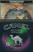 Camel Active Purple Mint cigarettes 10 cartons