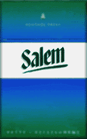 Salem Menthol Cigarettes 10 cartons