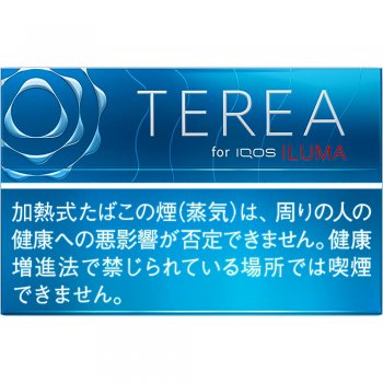 Terea Rich Regular 10 cartons